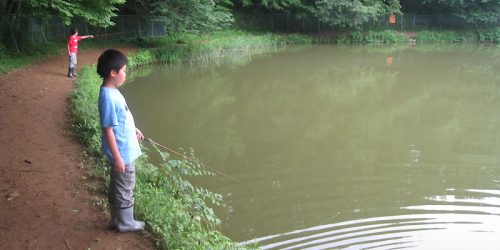 フィッシング11 – 野池でエサ釣り