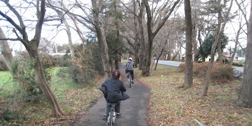 サイクリング3 – 太田ヶ谷沼(鶴ヶ島運動公園)