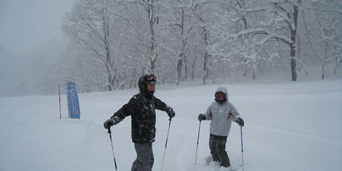 スキー8 – 湯沢中里スキー場