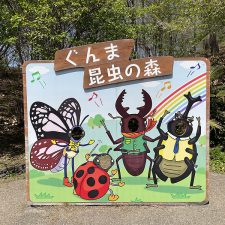 2021/4/10 群馬県-ぐんま昆虫の森～大間々町「ホルモン焼き双葉食堂」