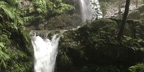 2020/7/26 雨上がりの毛呂山・越生の滝巡り～「こぶたのしっぽ」のホットドック