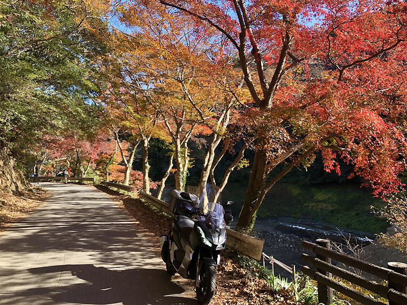 11 22 毛呂山町 鎌北湖の紅葉 桂木ゆず巡りツーリング ダー岩井のツーリング写真館へようこそ