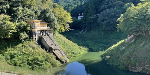 2021/9/19 毛呂山町・鎌北湖が貯水開始！～大類地区のそばの花畑